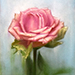 Izumi Kawamoto Gallery
